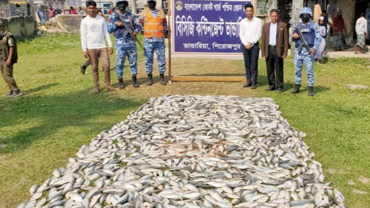 পিরোজপুরে ১০ মণ জাটকাসহ ২ ট্রলার জব্দ, ৩ জেলের কারাদণ্ড