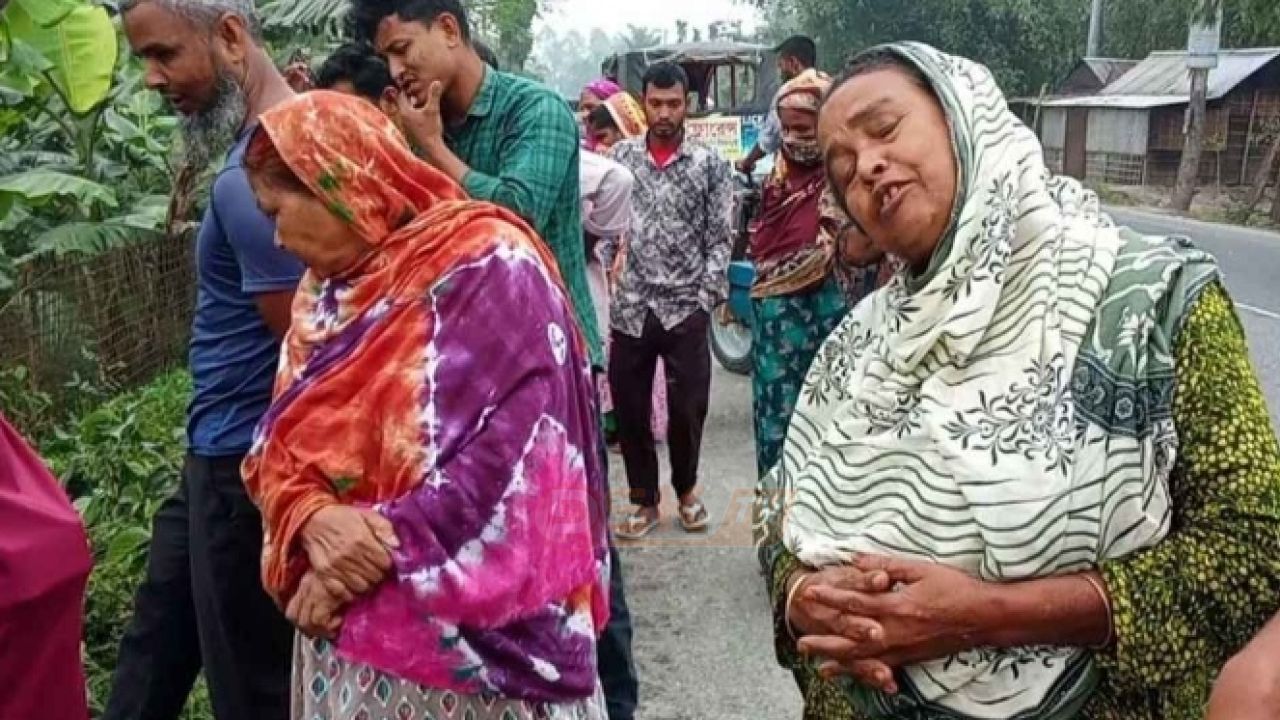 রাস্তার পাশ দিয়ে যাচ্ছিল দুই ভাই, পিষে দিয়ে পালিয়ে গেল ট্রাক 