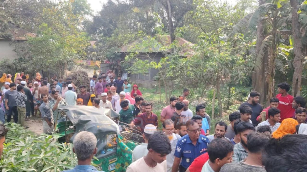 বেড়ানো শেষে বাড়ি ফেরা হলো না মা-ছেলের