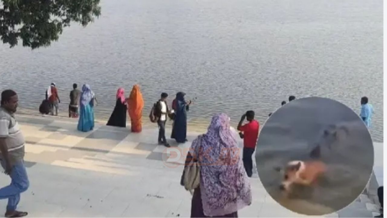 বাগেরহাটে কুমিরের আ'ক্রমণে মৃত কুকুরটি ছিল জলা'তঙ্কে আ'ক্রান্ত: তদন্ত প্রতিবেদন