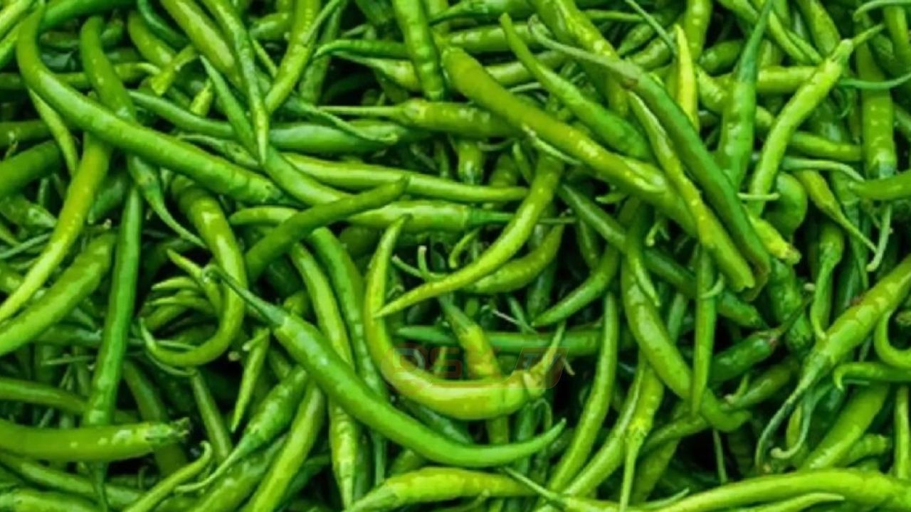 ভারত থেকে ২৮ টাকা কেজি দরে মরিচ আমদানি, বিক্রি ৩০০ টাকায়