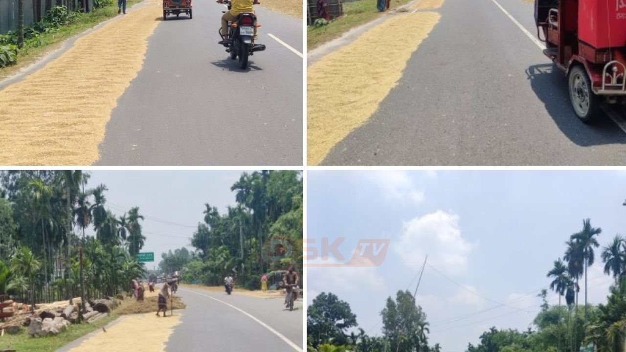 কুড়িগ্রামের মহাসড়ক যেন ফসলের চাতাল: ধান-ভুট্টা ও খড়ের দখলে ম/রণফাঁদে পরিণত
