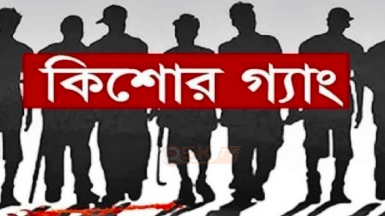 নোয়াখালীতে পুলিশের বিশেষ অভিযানে কিশোর গ্যাং ‘কেপিজি’র ১৮ সদস্য আ'টক