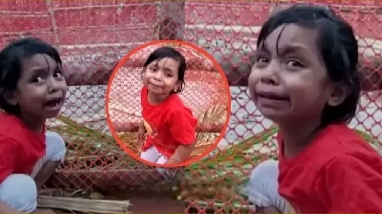 মা কোথায়?”— মায়ের কবর খুঁড়ে ফিরিয়ে আনার চেষ্টা ৩ বছরের অকেয়ার