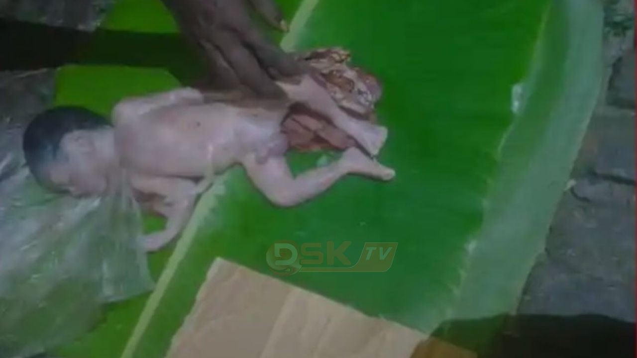 পলিথিনে মোড়ানো নবজাতক শিশুকে উদ্ধার 