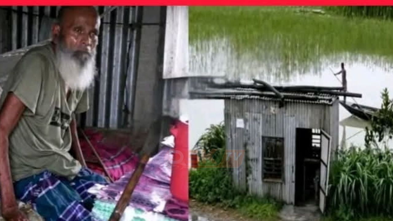 টাকা ফুরাতেই ফুরিয়ে গেল আপনজন! ২৬ বছর ধরে একাকী বৃদ্ধ মজিবুর রহমান