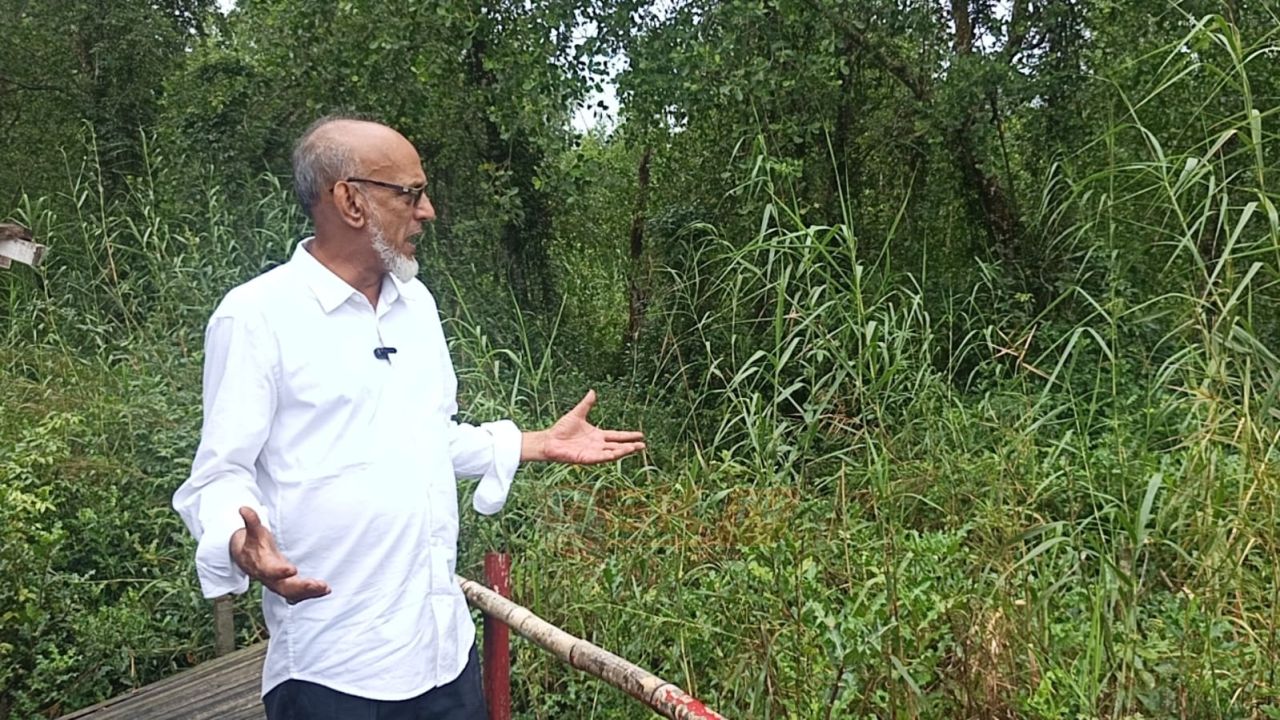 জিয়ানগরে শ্যামলী নিসর্গ ম্যানগ্রোভ ফরেস্ট পরিদর্শনে জেলা পরিষদ প্রশাসকপর্যটন ও অর্থনৈতিক অঞ্চল গঠনের সম্ভাবনার কথা জানালেন আলমগীর হোসেন