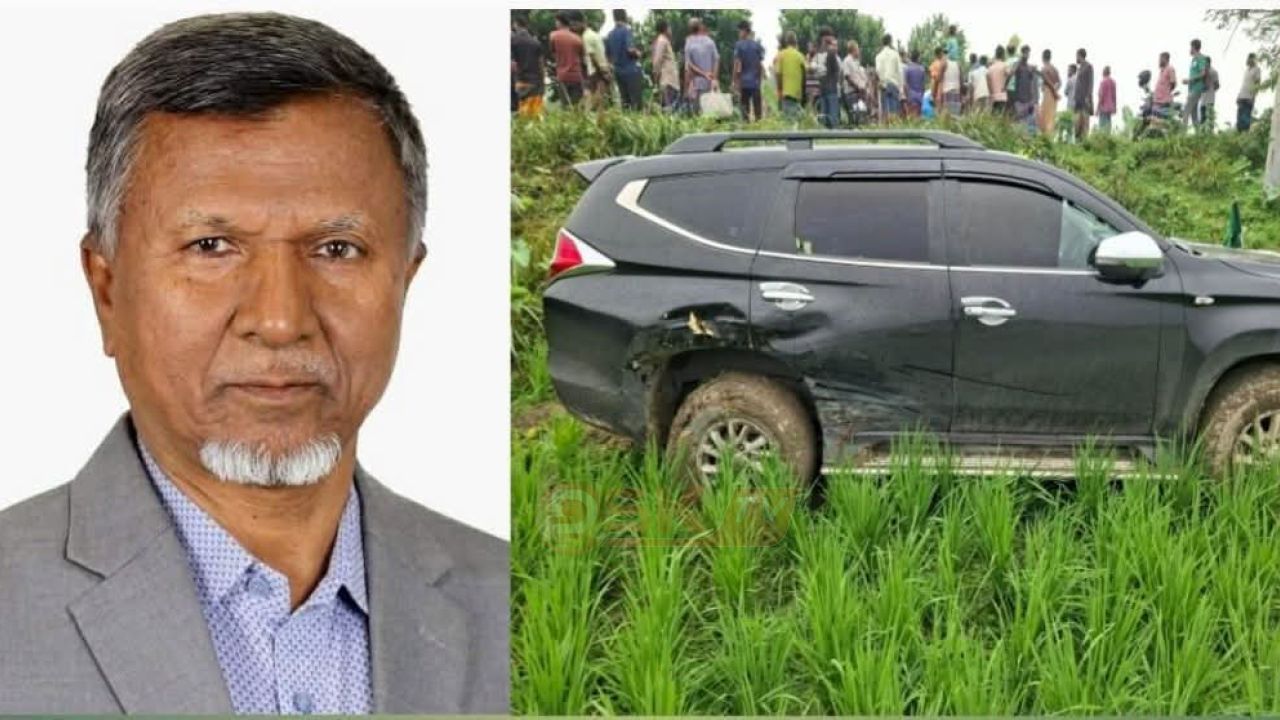  বৃদ্ধা পথচারীকে বাঁচাতে প্রতিমন্ত্রীর প্রাইভেট কার পড়লো খাদে  