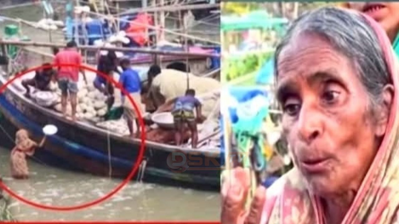 এক ইলিশের আশায় হাঁটু পানিতে বৃদ্ধা, শেষে পেলেন ৪ ইলিশসহ দুই মাসের বাজার