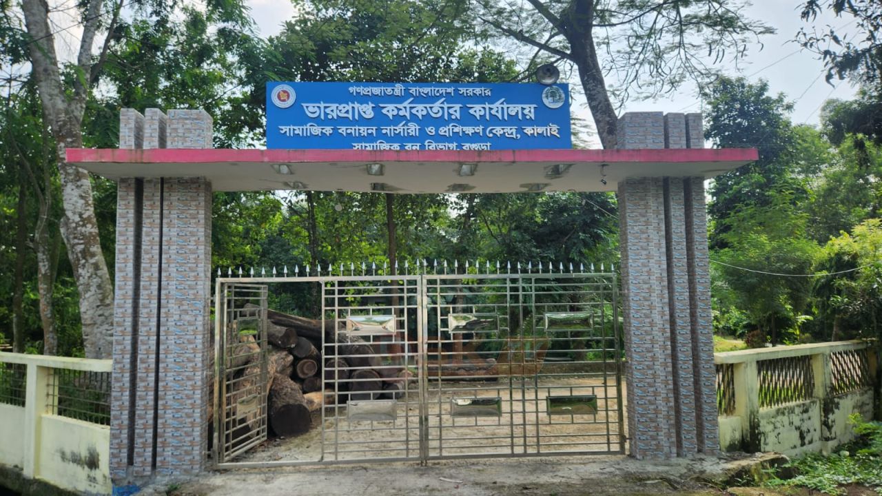 মোকামতলায় ভারপ্রাপ্ত চেয়ারম্যানের বিরুদ্ধে বনবিভাগের অভিযোগ  
